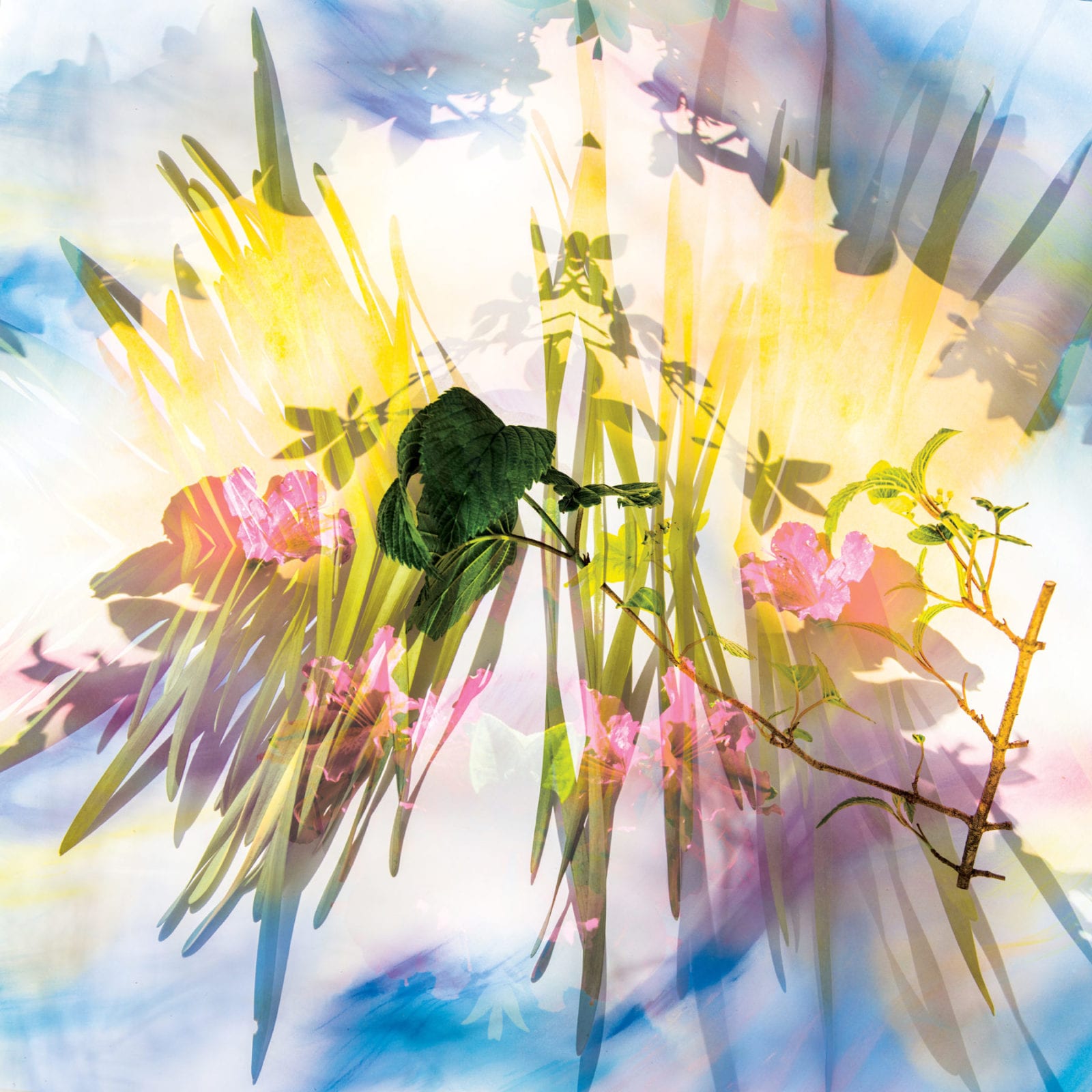 Maureen Bennett, Quarantine Backyard Mandala ~ Ascending Leaves, mixed media: pastels, paint, photography, 18 x 18 inches