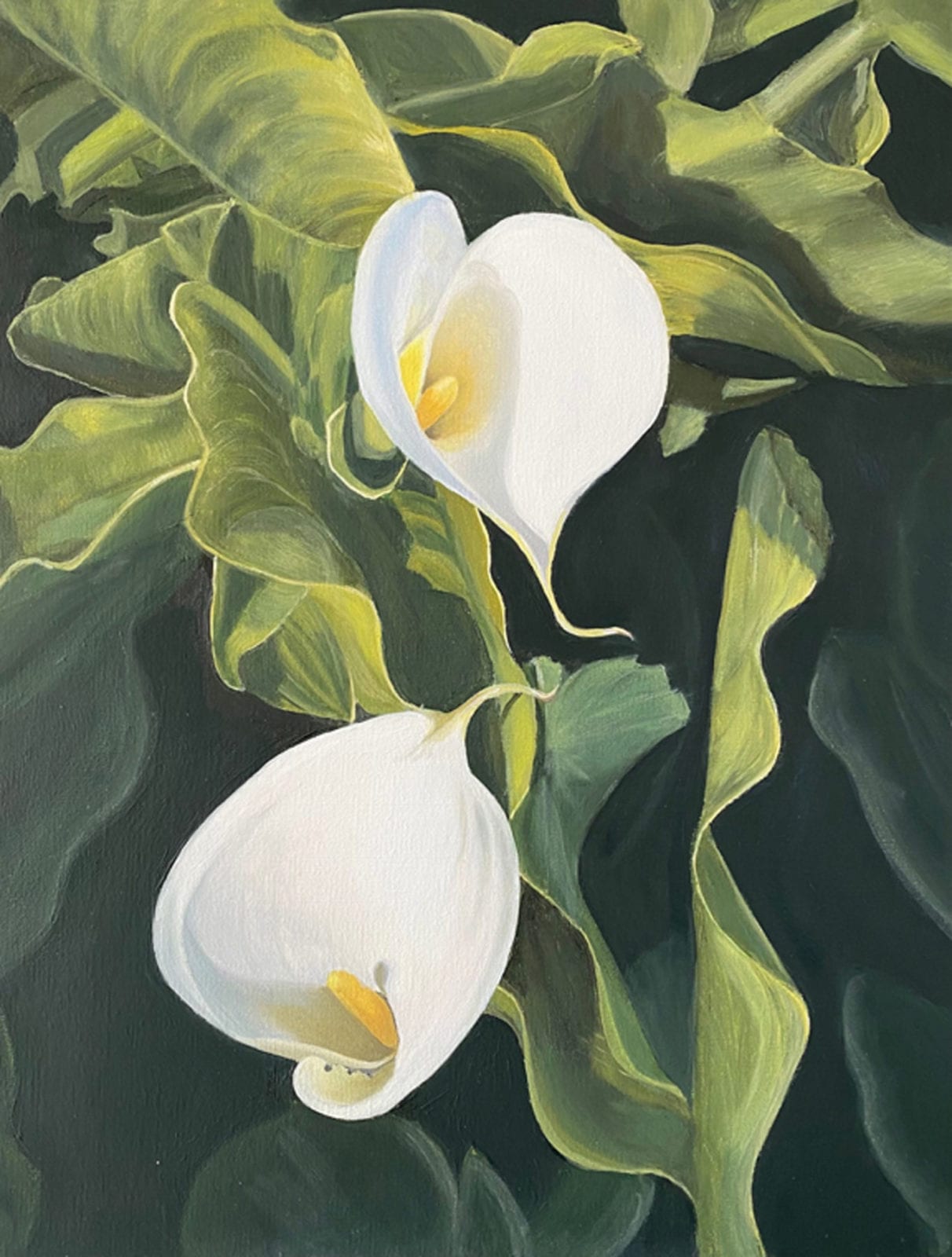 Janet Felton, Irlanda's Lillies, oil painting ,14 x 18 inches