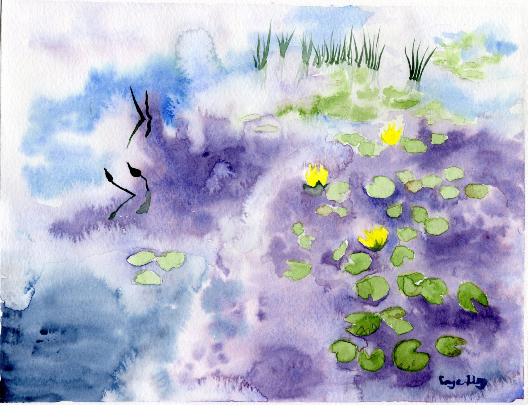 Sonya Legg, Sacandaga River Lilies, watercolor on paper, 11 x 8.5 inches