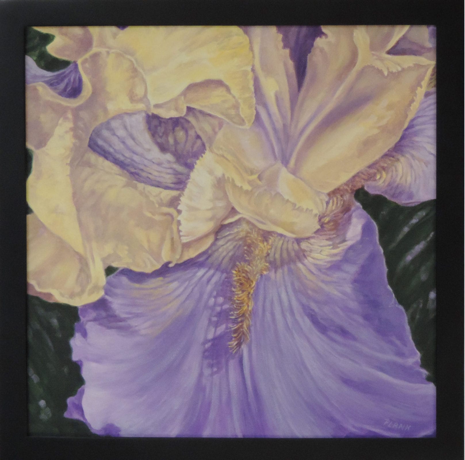 William Plank, Iris, acrylic, 13 x 13 inches