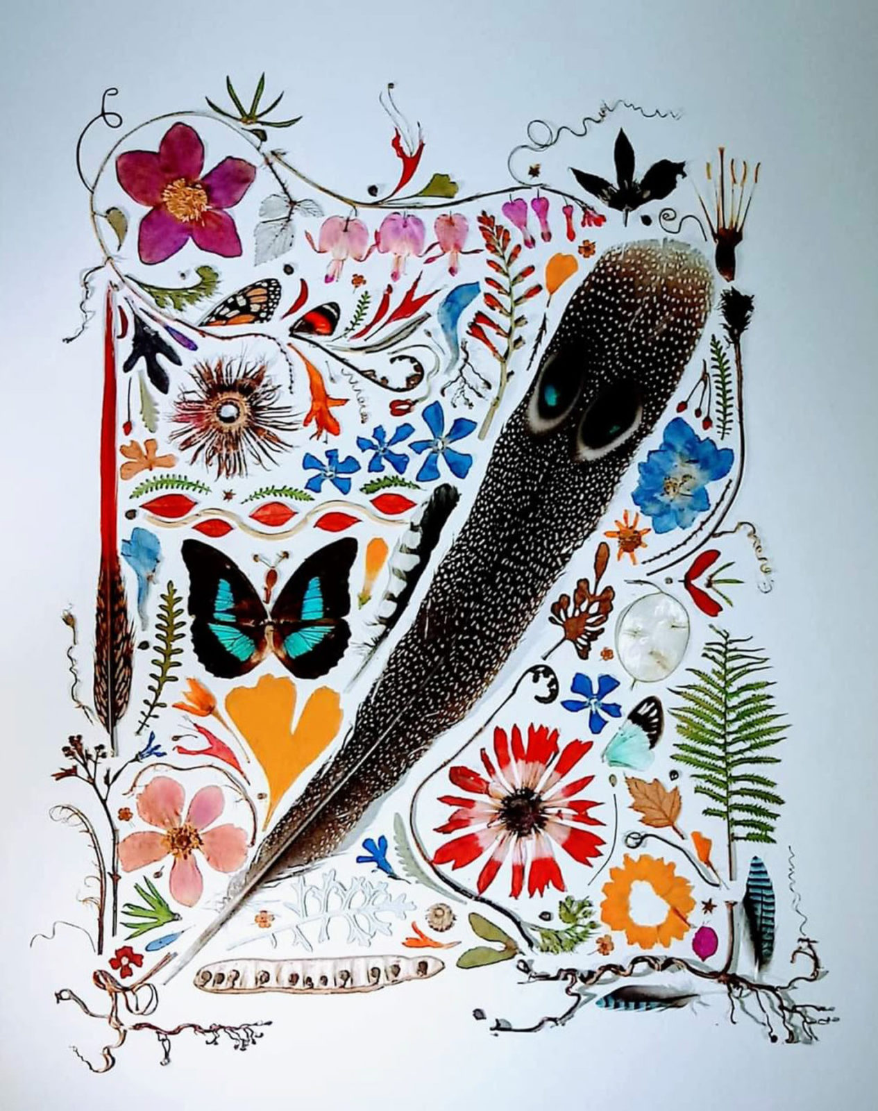 Sally Stang, Big Feather, pressed flora & fauna, 18 x 22 inches
