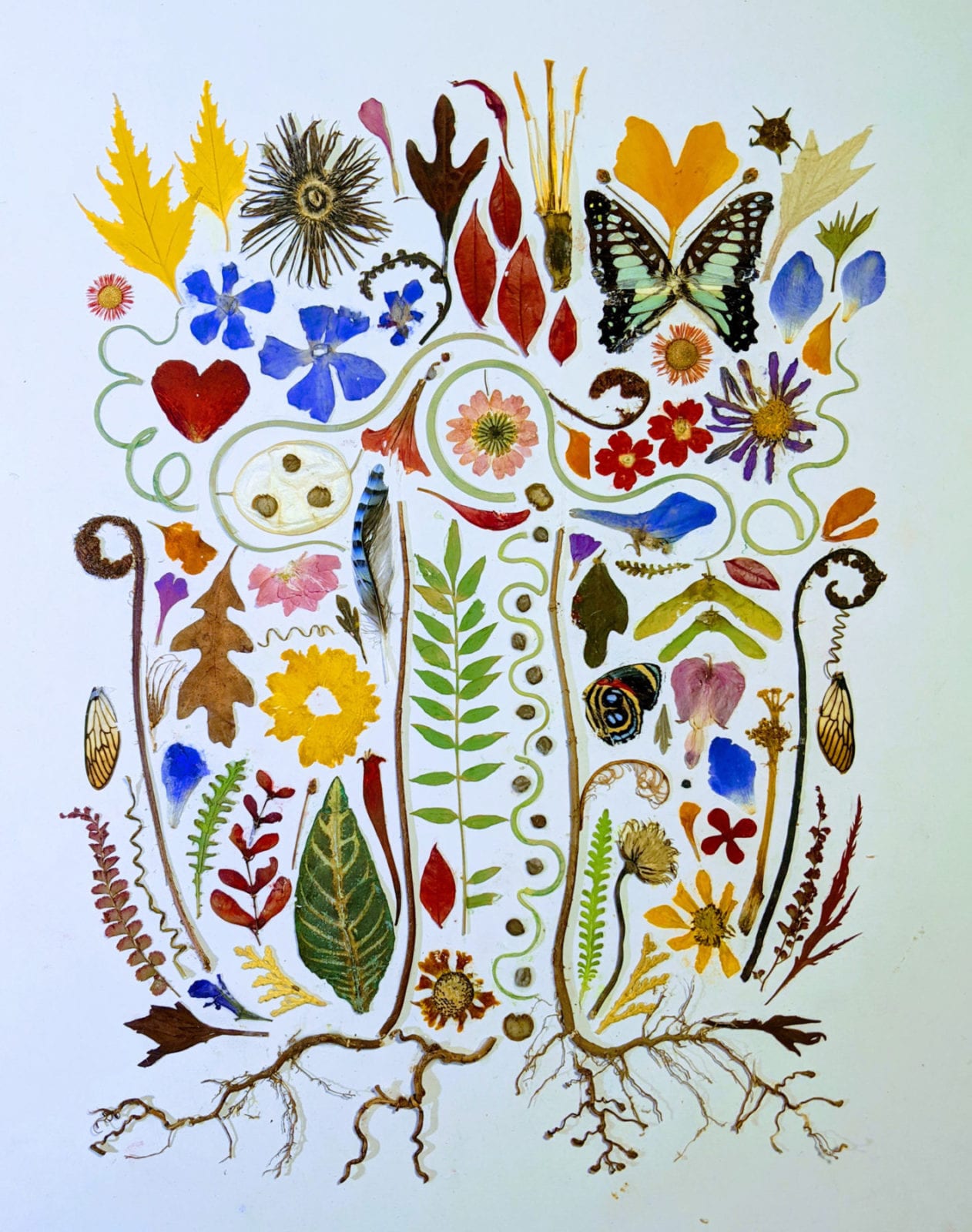 Sally Stang, Garden Party, pressed flora and fauna, 13 x 16 inches