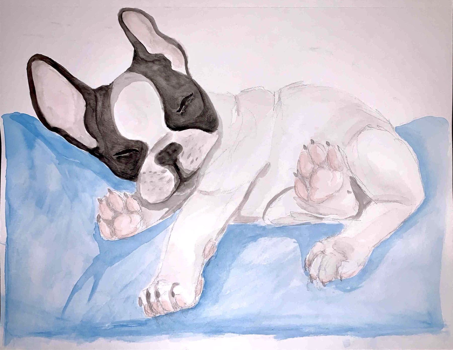 Callie Jacobs, Dozzin' a Snooze, watercolor, 9 x 12