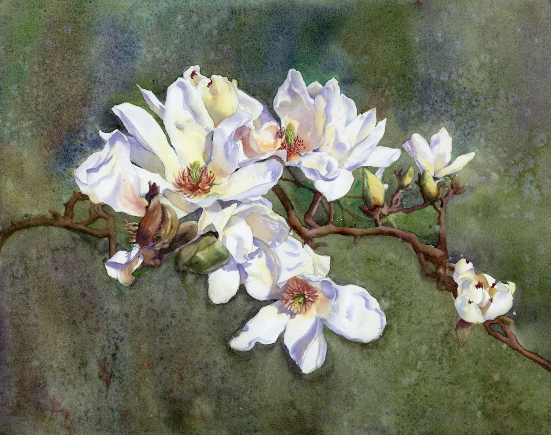 Joan  Capaldo, Magnolias, watercolor, 31 x 25.25