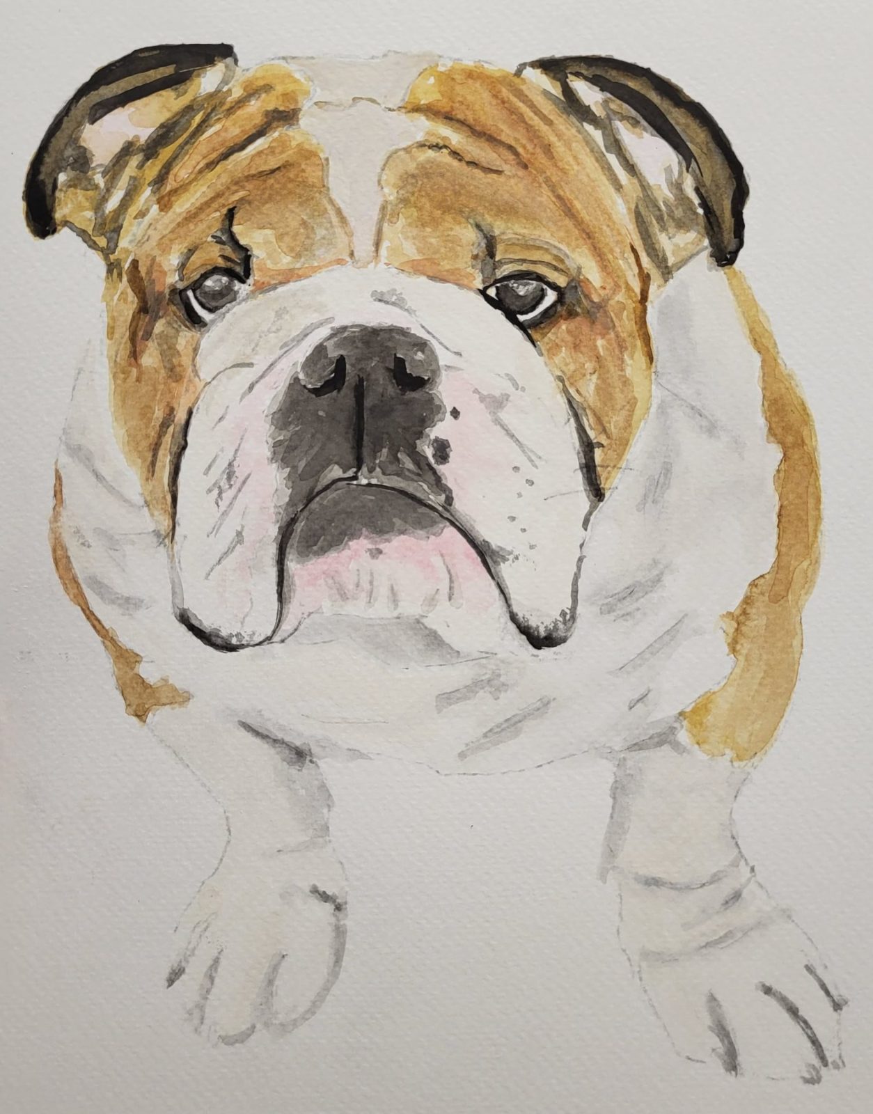 Abigail Johnson is a full time editor and part time painter who works primarily in watercolors and acrylics. She enjoys painting landscapes, dog portraits, and flowers, and she loves a good plein-air session. 